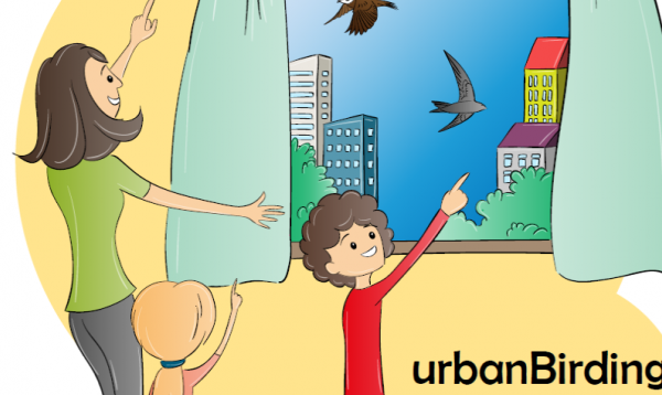 Да отбележим Международния ден на птиците с “Urban birding”