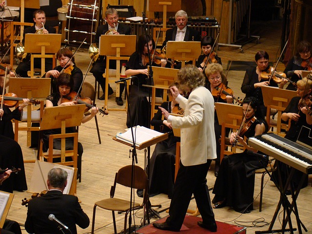 Богата концертна програма на Симфониета – Враца през февруари