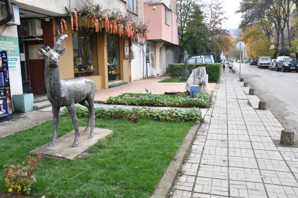 Обновяват сгради и зелени и цветни площи в Монтана