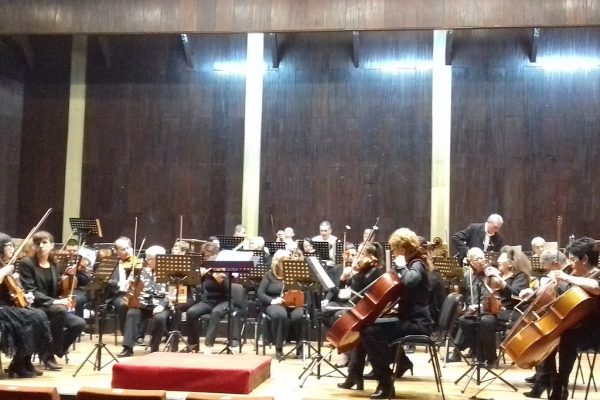 Симфониета – Видин отваря виртуална музикална школа