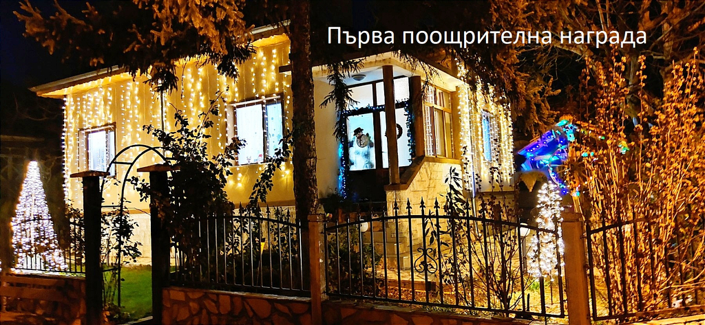 Каролина Петкова е победител в конкурса „Коледен Видин”