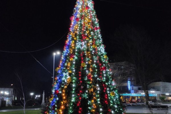 Грейна коледната елха в Козлодуй