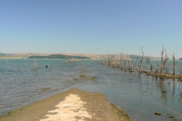 Канят граждани да се включат в почистването на брега на язовир Огоста