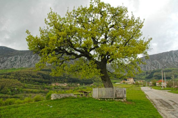 Фотоконкурс „С дъх на планина“ по повод годишнина от обявяването на ПП „Врачански Балкан“